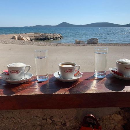 Apartment Figtree Vodice Dış mekan fotoğraf